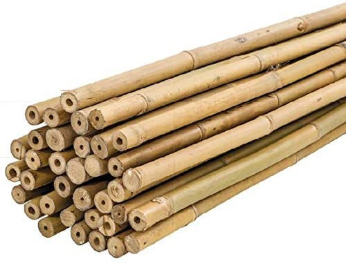 Lot de 10 tuteurs en bambou naturel pour plantes 90 cm
