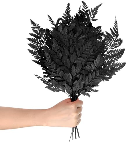 M METERXITY 10-Pz Felce, 15 Vegetazione Naturale Essiccata con Steli per Ghirlanda da Matrimonio/Bouquet per La Casa/Feste Fai da Te, Piante Essiccate [Nero]