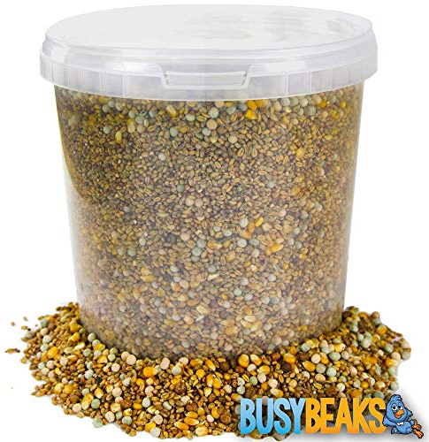 BusyBeaks Four Seasons Pigeon Corn | Premium Grade Natural Food Mix | Rich in Nutritious Oils Vitamins and Minerals | Perfect Year-Round Wild Bird Seed Feed | High in Protein Energy & Fibre (1L Tub)