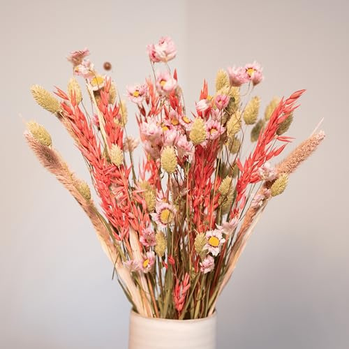Flores Secas Decoracion, Ramo Flores Secas Naturales 43cm, Hecho en Europa, Flor Seca Decoracion Hogar, Ramas Decorativas para Jarrones Decorativos Modernos para Home Decoration