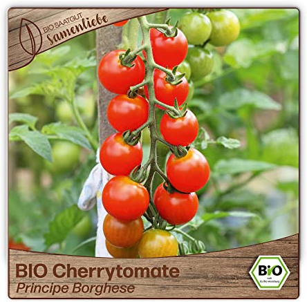 Samenliebe BIO Cherrytomaten Samen alte Sorte Principe Borghese süße Freilandtomate Tomate rot 10 Samen samenfestes Gemüse Saatgut für Gewächshaus Freiland und Balkon BIO Gemüsesamen