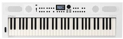 Roland GO:KEYS 5 Music Creation Keyboard | 61-Note Keyboard | ZEN-Core Engine with Over 1000 Onboard Sounds | Built-In Stereo Speakers | Mic Input | Bluetooth Audio/MIDI Support, White