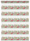 Lichtblick Doppelrollo Klemmfix ohne Bohren mit Motiv, Birds - Grün Pink, Blickdicht, Made in Germany, Klemmträger 80 cm x 150 cm (B x L)