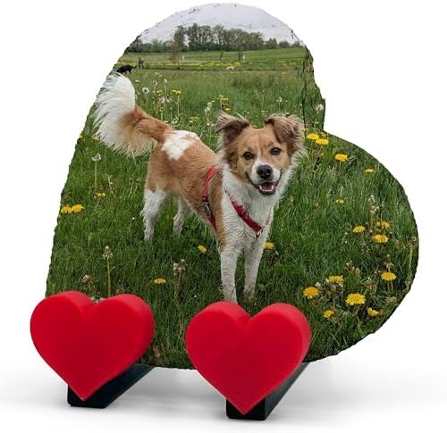 Plaque Commémorative Personnalisée en Forme De Coeur Avec Texte Photo Nom Et Coeur Sur Support De Présentation Chat, Chien, Pierre Tombale | Impression Complète Horizontale | Taille 10x10 cm