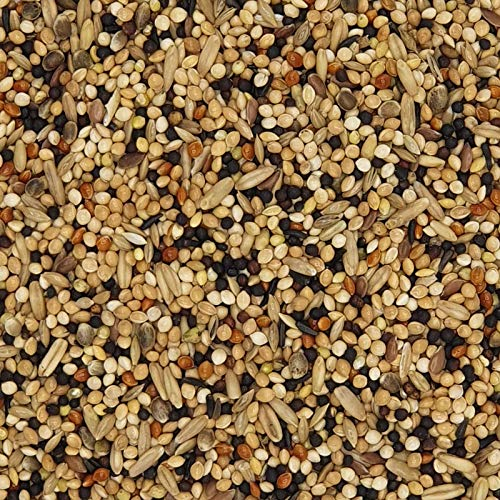 Versele Voliere Classic 20kg