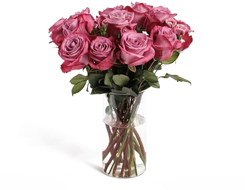 Epicflowers Mauve Elegance Fresh Flower Bouquet, 12 Lavender Roses and 4 Pink Solomios, Glass Vase Included, Valentine’s Day, Anniversary, Birthday, Sympathy