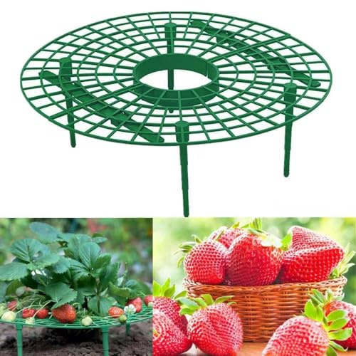 Soporte de cultivo de fresas, soporte de protección para fresas, soporte de cultivo de plantas de fresa, paquete de 10 unidades