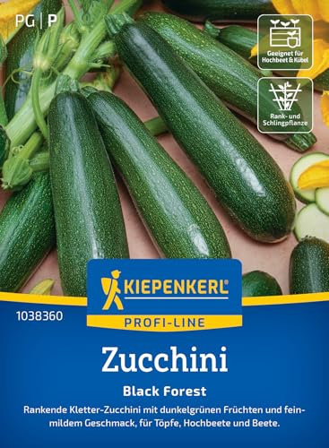 Kiepenkerl Profi-Line Zucchinisamen Black Forest 1038360 für 5 Pflanzen - Vertikale Kletterzucchini mit dunkelgrünen Früchten, Gemüsesamen ideal für Kübel & Hochbeete
