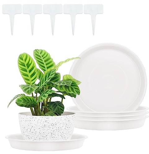 RZMZBY 5 Pezzi Piattini per Vasi da Fiori,Sottovasi per Piante Rotondo,per Piante da Giardino,per Piante da Interni ed Esterni(19cm Bianco)