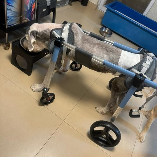 Remolque para silla de ruedas y bicicleta, soporte completo para perros medianos a grandes, ayuda a las extremidades débiles y mejora la movilidad