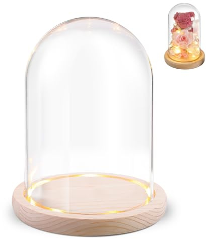 BORDEAG Campana de cristal con suelo de madera, campana de cristal decorativa con base de madera, cúpula de cristal con base de madera natural, cúpula de cristal decorativa alta, cúpula de cristal