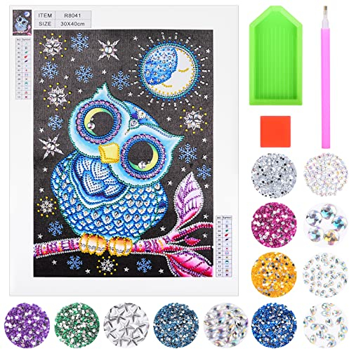 Herefun Diamond Painting Kinder Teenager Mädchen, 5D Diamant Painting Set Eulen Geschenk, 5D DIY Diamantmaler-Set, Full Bilder Diamond Painting Kits Malen Nach Zahlen Diamant für Home Decor