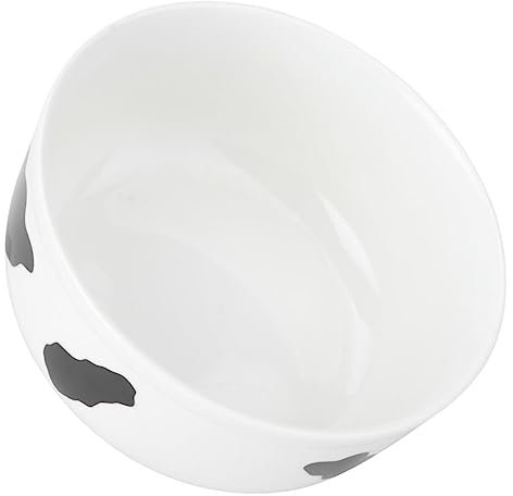 TOPBATHY insalatiera ciotola colazione scodella colazione ciotole da minestra in porcellana andare contenitori con coperchi tagliatelle posate ciotola per zuppa in ceramica zuppiera gelato