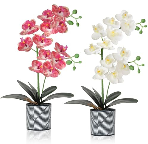 LOMOHOO Orchidea artificiale in vaso, confezione da 2 orchidee in vaso, fiori finti Phalaenopsis con vaso di plastica per tavolo, decorazione casa, ufficio, festa di nozze, PL158