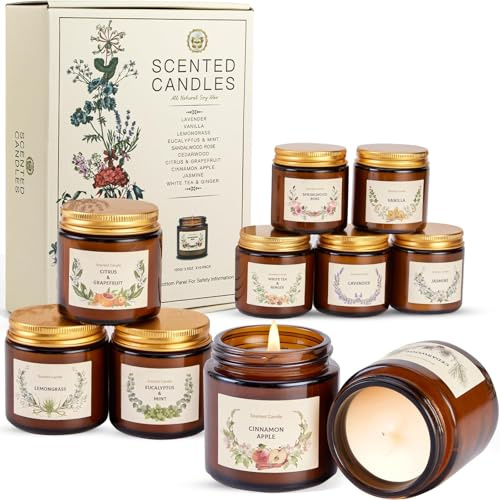 Bougies Parfumées Cadeau Femme, Lot de 10 Bougie Pot en Verre, 100x10g Coffret cadeau Bougie Parfumées, Aromathérapie Cadeau D'Anniversaire pour Noël, Salle De Bain, Spa et Méditation(250 heures)