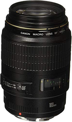 Canon EF 100 mm f/2.8 Macro USM Lens