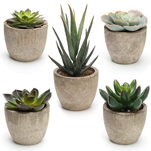 COITEK Set of 5 Artificial Succulent Plants Potted Assorted Decorative Faux Succulent Potted Fake Cactus Cacti Plants with Pots