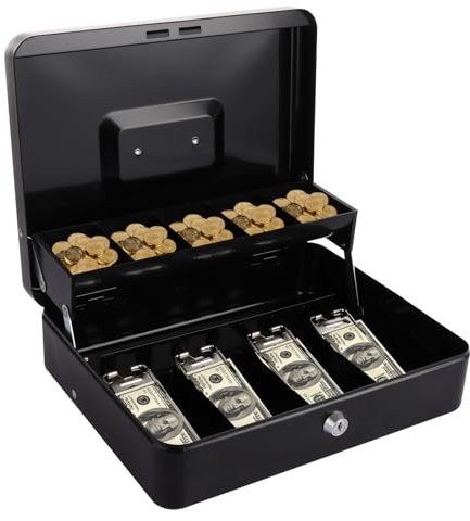 LDXDRU Metal Cash Box with Key Lock, 30 x 24 x 9cm Portable Cash Box, Note and Coin Safe Box Petty Cash Tin Large Money Box Secure Locking Money Tin, Comes with Coin Tray & Spring Loaded Clips