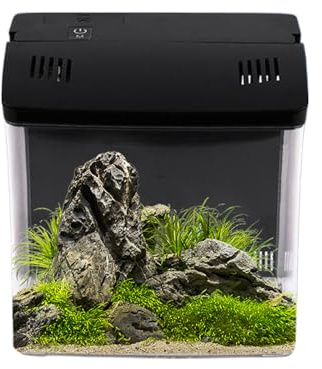 Duvcoywae Acquario | Acquario Con Filtro | Per Animali Domestici Per Desktop | Per Anfibi E Tartarughe Acquatiche