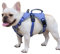 Huntboo sicherheitsgeschirr Hund Ausbruchsicher, Panikgeschirr für Hunde, Reflektierendes Geschirr mit Griff, Verstellbare Hundegeschirr für Mittlegroße Große Hunde zum Training Laufen (Lila, L)