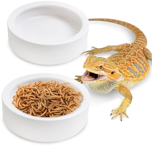 Tfwadmx 2 Pack Reptile Food Bowl, Ceramic Water Feeder Bowl, Reptile Worm Feeding Dish for Lizard Turtle Bearded Dragon Anoles Crested Gecko Hermit Crab Leopard Gecko Chameleon Corn Snake