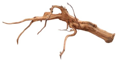 Natunae - Legno Red Spider King Wood, Radice Decorativa per Acquario, Terrario, Paludario XS <20 cm