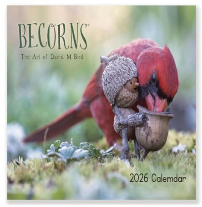 2026 Nuevo Sí Calendario De Aves extremadamente precisas, hermoso 2026 Forest Folk Bird Art Becorns Calendars, 2026 Calendario de pared de Halloween, con diferentes ilustraciones