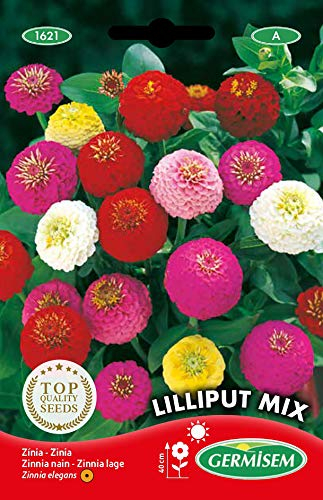 Germisem Lilliput Mix Graines de Zinnia 1.5 g EC1621 Multicolore