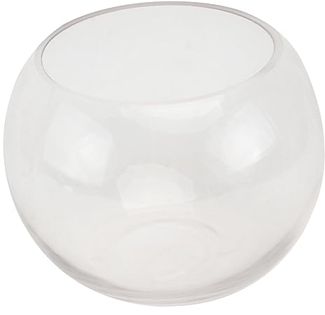 PRETYZOOM Per Idroponiche Decorazione Per e Casa Design Per Composizioni Floreali e Ornamentali