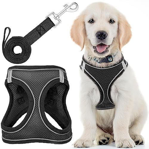 Dog Harness with Leash for Running, Hiking & Training - Small, Black - Soft Padded & No Pull Design Pet Harness with Leash Clips + Reflective Strips for Small Dogs - by EcoEarth