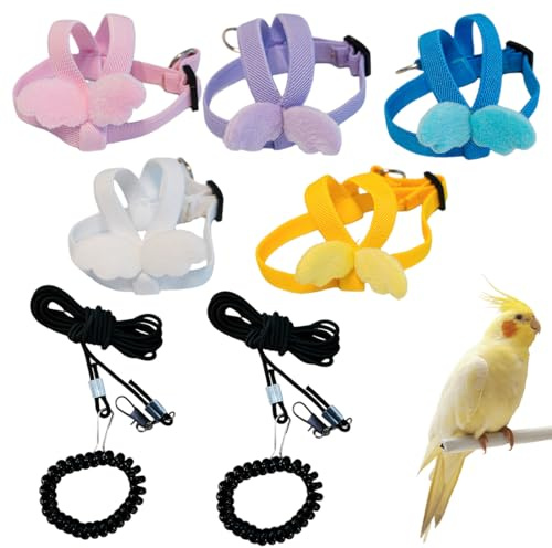 PYEUIFT Pappagallo Pettorina 5 Pezzi Pettorina Regolabile per Pappagalli Con Guinzaglio Volo Sicuro Addestramento Uccelli Calopsite Voliera Elastico Sicurezza Per Uccelli