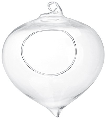 Cyrank Jardinière Suspendue en Verre, Pot de Plante Suspendu en Forme de Larme, Pots de Plantes à air, Vase de Terrarium pour Bureau, Maison, Jardin