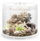 biOrb Tube 35 MCR weiß - Elegantes Design-Aquarium, Komplettset mit Filtersystem, 360-Grad-Blick