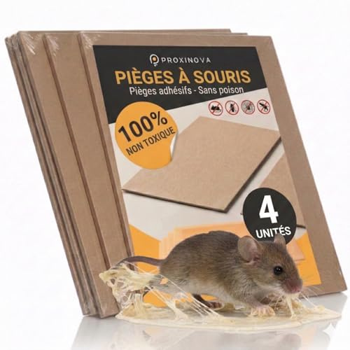 PROXINOVA Trampa Ratas Adhesiva – 4 Trampas Ratones con Pegamento de Alta Fijación, Control de Roedores Interior y Exterior, Sin Veneno – Made in Italy