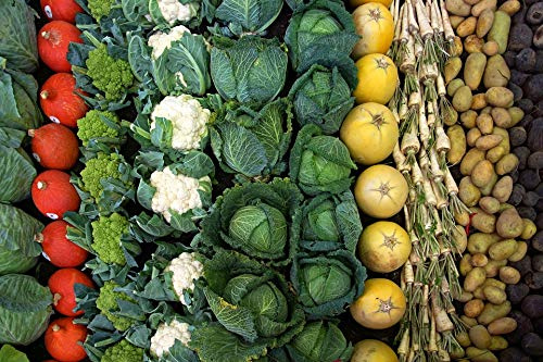 Vegetables Parsley Cauliflower Cabbage Pumpkin-20 Inch by 30 Inch Laminated Poster with Bright Colors and Vivid Imagery-Fits Perfectly in Many Attractive Frames