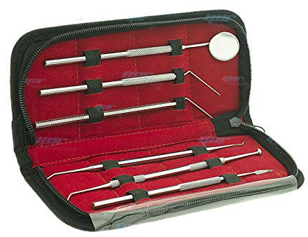 Kit di strumenti dentali per la rimozione della placca di pulizia dei denti, rimozione del tartaro per denti in acciaio inox