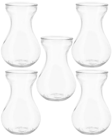 Hemobllo Lot de 5 Vases à Fleurs en Verre Transparent Hydroponique Petits Vases Décoratifs pour Maison et Bureau Design Simple et Moderne pour Plantes Vertes et Jacinthe