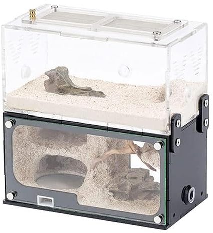 DESONIX Acryl-Ameisenfarm, Ameisen-Terrarium, Ameisenhaus, kann gespleißt Werden, Ameisennest, Nachahmung, Original, ökologischer Beton, Ameisenwerkstatt, Insektenvilla, Ameise