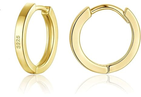 wynn's Silver Hoop Earrings for Women, 925 Sterling Silver Unisex Small Sleeper Hoop Earrings, Gold Hooped Huggie Cartilage Earrings for Women Men Girls (10mm)