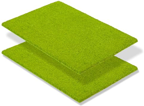 Carpido halkfri kokosmatta – uppsättning om 2 40 x 60 cm grön – hållbara naturfibrer för täckta utomhusbruk – 100 % kokos dörrmatta – dörrmatta entré