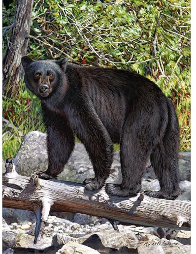 Gift Essentials 1000 Piece Puzzle, Black Bear, Jigsaw Puzzle for Adults and Kids