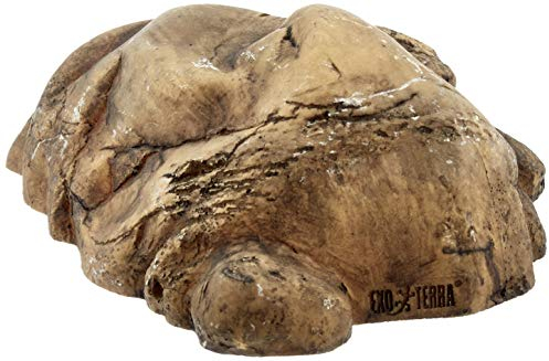 Exo Terra Reptile Cave, sicheres Versteck für Reptilien und Amphibien, L