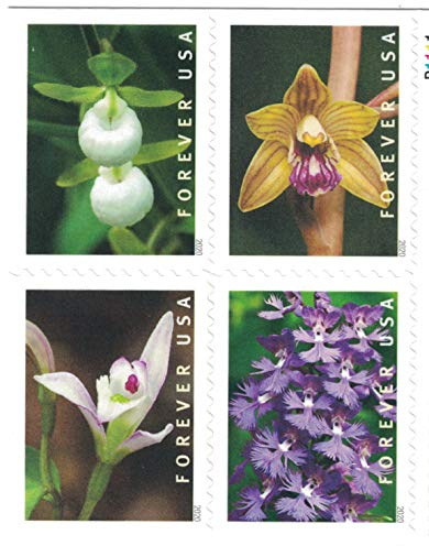 Wild Orchids Flowers (Booklet of 20) First-Class Mail Forever Postage Stamps 2020 Scott 5445-5454