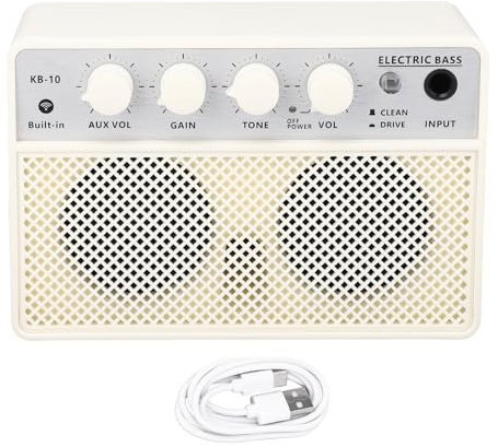 Mtlavishness bt bashögtalare Dual Channel Portable laddningsbar elektrisk basförstärkare idealisk för övning och prestanda på språng med 10W utgångseffekt DC5V 1A -laddning och
