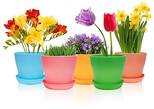 Happybase 4 Plastic Planters, Indoor Flower Plant Pots, Set of 8 Modern Decorative Gardening Containers for All House Plants, Herbs, Foliage Plant, and Seeding Nursery