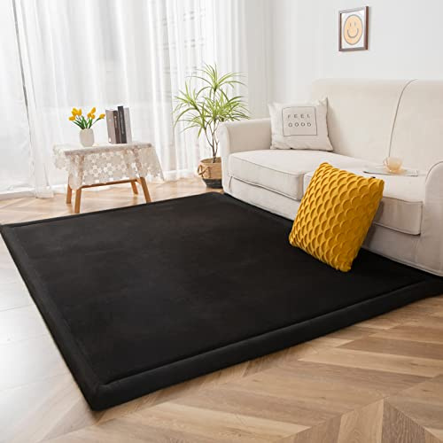 BYBYME Coral Velvet Rug, 3cm Thick Crawling Carpet with Non-Slip Fluffy Short Pile, Modern Washable Soft Mat, Perfect Carpets for Yoga, Exercise and Crawling (Black, 200×200cm)