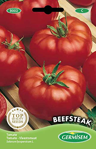 Germisem graines Tomate BEEFSTEAK