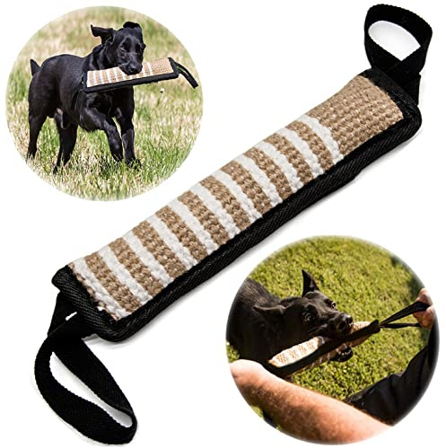 Tug of War Hundleksak, Hundbett Bogserleksak med 2 Starka Handtag för Medelstora till Stora Hundar, Hållbar Dragleksak, Perfekt för Dragkrig, Hämta, Valpträning och Interaktiv Lek