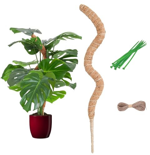 Tuteur Plante, 80cm Monstera Tuteur PliableTuteur Coco, Plante Tuteur Monstera pour Plante et Support pour Maison Jardin de Plante pour Domestique