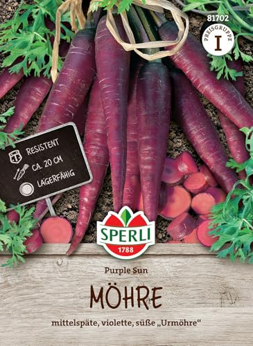 Carotte violette Sun F1 - Très résistante à la conservation